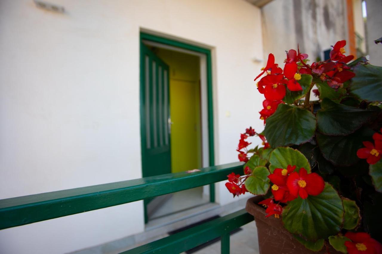 Apartment Nola Podgora Quarto foto